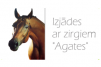 Agates zirgu stallis - zirgu izjādes dāvanu karte un dāvanas