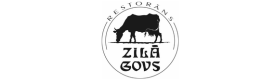 Zilā Govs logo