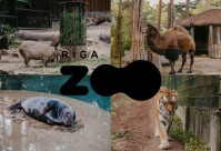 rigas zoo dāvanu karte