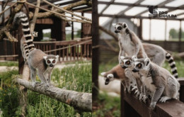 Sigulda Zoo SIA