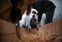 vienkocu parks koka kazas parim