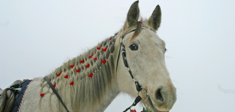 Valentīndienas dāvana vīrietim