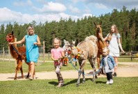 Большое приключение в верблюжьем парке Rakši с местом для пикника для 4 персон.