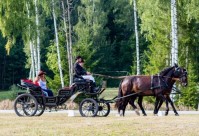 Поездка в лошадиной упряжке и обед для всей семьи от конного двора «Клаюми»