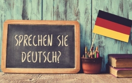 Общий курс немецкого языка Alius Lingua, 20 учебных часов