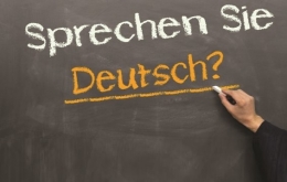 Общий курс немецкого языка Alius Lingua, 60 учебных часов