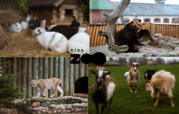 Rīgas zoodārza abonements bērnam