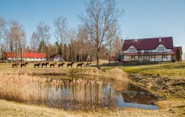 Увлекательный конный верховой маршрут “Вид Латвийско - Белорусской границы”