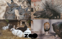 Rīgas Zoodārza apmeklējums bērnam