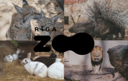 Rīgas Zoodārza apmeklējums bērnam