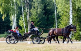 Brauciens zirgu pajūgu un pusdienas ģimenei no zirgu sētā Klajumi