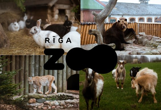 Rīgas zoodārza abonements bērnam