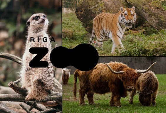 rīgas zoodārzs dāvanu karte