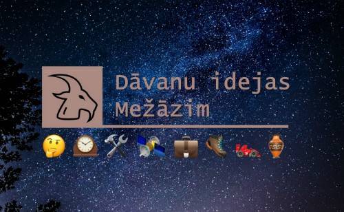 Dāvanu idejas, ko dāvināt Mežāzim