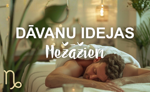 Dāvanu idejas, ko dāvināt Mežāzim